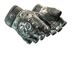 ★ Broken Fang Gloves | Unhinged (Minimal Wear)