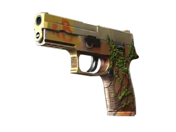 P250 | Inferno (Minimal Wear)
