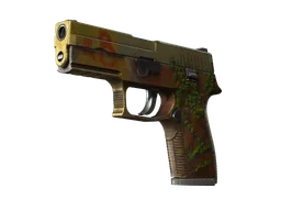 StatTrak™ P250 | Inferno (Battle-Scarred)