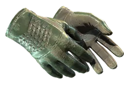 ★ Driver Gloves | Racing Green (Battle-Scarred)