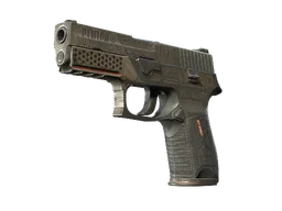 StatTrak™ P250 | Bullfrog (Battle-Scarred)