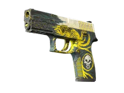 P250 | Wingshot (Battle-Scarred)