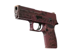 P250 | Contaminant (Minimal Wear)