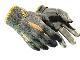 ★ Sport Gloves | Omega (Battle-Scarred)
